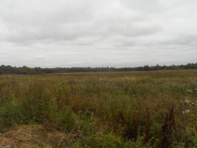 Братское кладбище советских воинов, на месте медсанчасти, находившейся здесь в 1943 г.