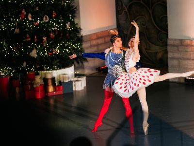 Билеты на Щелкунчик (Главный штаб Эрмитажа) / Театр | Афиша | ИнфоТаймс