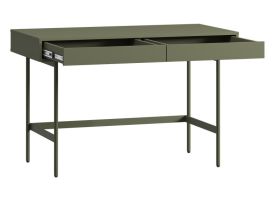 Письменный стол Эрлин-2 120x60 Оливковый