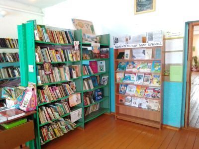 Владимировская сельская библиотека – филиал № 11