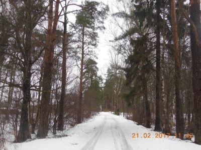 Усадебный дом с парком