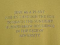 Футболка с принтом и вышивкой, Зеленый