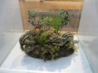 Отдел природы Костромского музея-заповедника