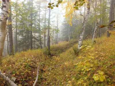 Стрелковая позиция восточная