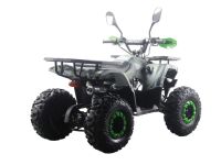 Квадроцикл MOTAX ATV Grizlik Premium 125cc