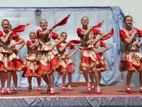 Бояркинский сельский дом культуры