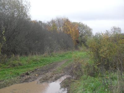 Родина Г.Ф. Федорова, депутата II и III Государственных дум, избиравшегося от крестьянской курии Смоленской губернии