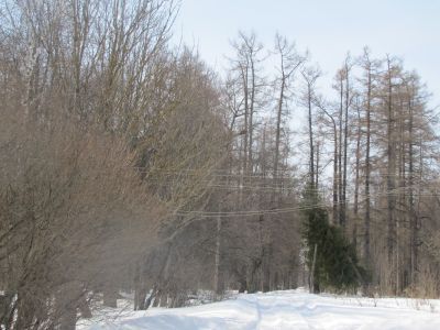 Памятное место, куда в 1870 году впервые в Смоленской губернии был завезен крупный рогатый скот симментальской породы. В настоящее время – центральная усадьба одного из передовых на Смоленщине совхоза «Дугино», награжденного орденом Трудового Красного Зна