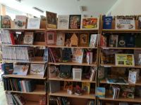 Высокиничская сельская модельная библиотека