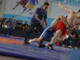 Верхневилюйский улус вновь победил на Играх Манчаары по хапсагаю