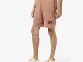 Мужские шорты Lacoste из хлопка