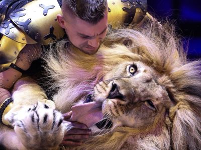 Билеты на Цирк Моретти (Цирк) / Театр | Афиша | ИнфоТаймс