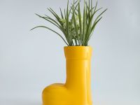 Букет Ренэ/Rene II