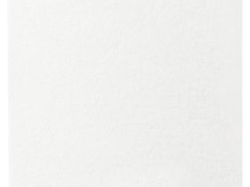 Папка для гуаши и акрила Гамма "Студия" А3 20 л 180 г