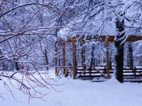 Парк имени Ленинского комсомола