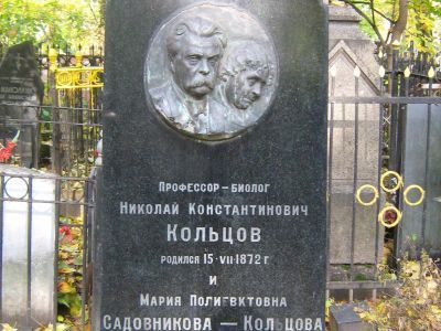 Могила Кольцова Николая Константиновича (1872-1943), биолога