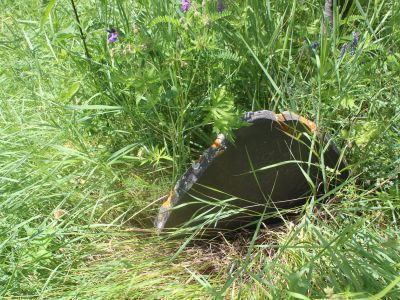 Стела надмогильная