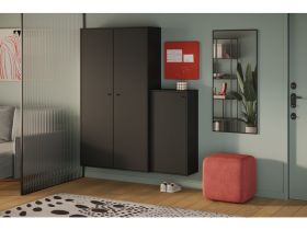Обувница подвесная Сайрис 50x99 Черный