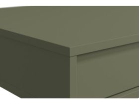 Письменный стол Эрлин-2 120x60 Оливковый