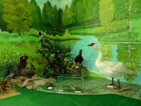 Донецкий историко-краеведческий музей