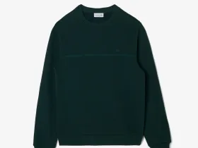 Мужской свитшот Lacoste стандартного кроя