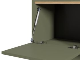 ТВ-тумба Торвалль 120x61 Оливковый