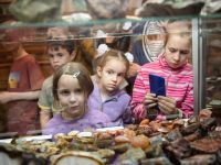 Минералогический музей им. И. К. Баженова