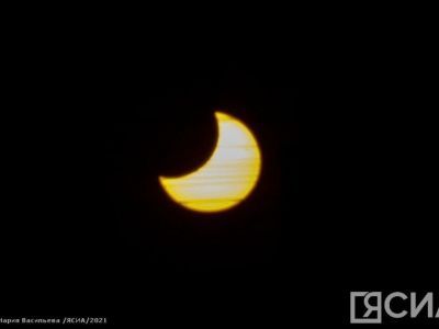 Гороскоп на неделю с 20 по 26 января для всех знаков зодиака