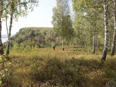 Поселение Долгая 4