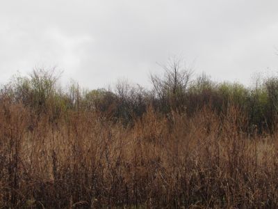 Дом Заботкиной