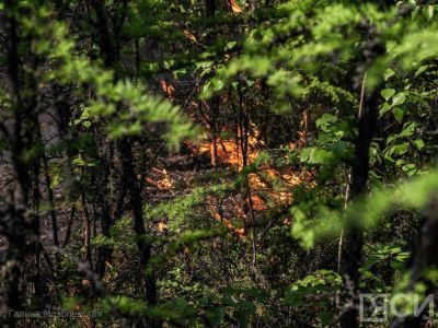 В Якутии тушат 16 лесных пожаров