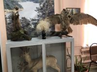 Борский краеведческий музей