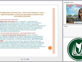 Развивающая предметно-пространственная среда в соответствии с ФГОС ДО: требования, контроль, оценка