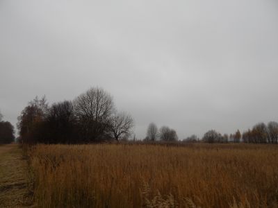 Памятные места, где в 1823-1826 гг. бывал поэт-декабрист В.К. Кюхельбекер