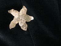 Бархатный жилет, Черный