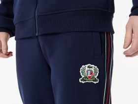 Мужские спортивные брюки Lacoste из эластичного хлопка