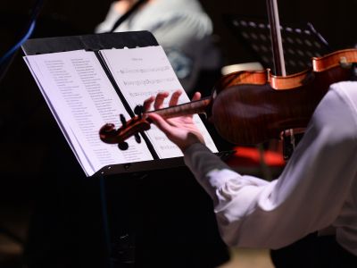 Билеты на Музыка королей (Дом музыки) / Концерт | Афиша | ИнфоТаймс