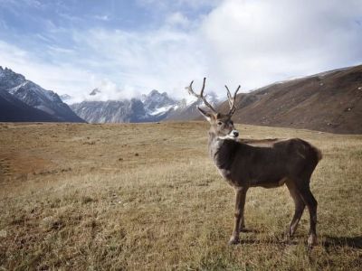 Ректор СВФУ: Один из векторов развития университета - развитие Арктических территорий страны