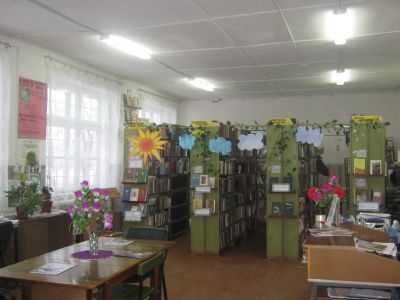 Новочерниговская библиотека