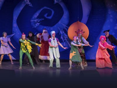 Билеты на Новогодние приключения Маши и Вити (ДК «Выборгский») / Театр | Афиша | ИнфоТаймс