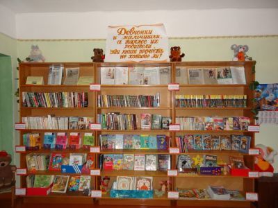 Астриловская сельская библиотека