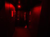 Иммерсивный театр «Морфеус»