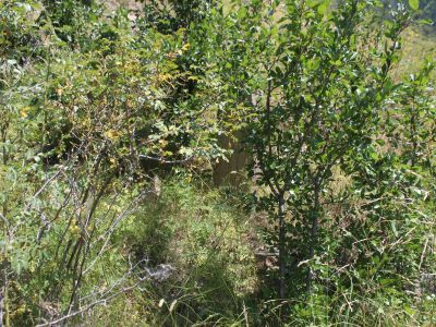 Группа захоронений