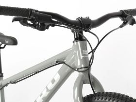 Подростковый велосипед Haro Flightline 24 Plus DS, год 2025, цвет Серый