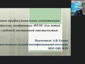 Вебинар "Новые профессиональные компетенции педагогов, внедряющих ФГОС для детей с глубокой умственной отсталостью"