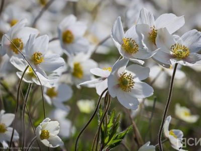 Что нельзя делать 24 июня 2024 года: народные приметы и традиции