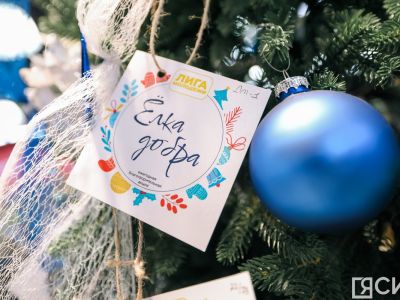 Благотворительная акция «Елка добра» объединила 7 тысяч якутян