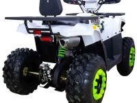 Квадроцикл AVANTIS Hunter 200 New Premium (2020)