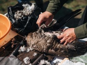 Фоторепортаж с фестиваля-конкурса «Полевая кухня» в Якутске