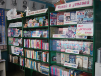 Ново-Николевская сельская библиотека